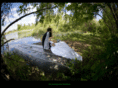 daydreamgalleries.com