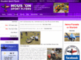houstonsportflyers.com