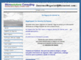internetnegociosyrecursos.com