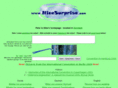 nicesurprise.com