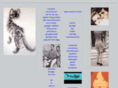 verticalcats.com