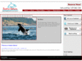 bestwhalewatching.com
