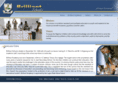brilliantschools.org