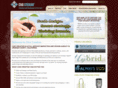 chixcreative.com