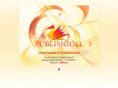 publimodel.it