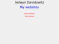 sdavidowitz.com