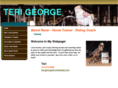 terigeorge.com