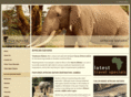 tshokwanesafaris.com