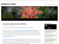 wildflowerwalks.com
