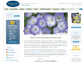 bluestoneperrinnial.com