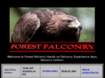 forestfalconry.com