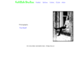 goldfishstudios.net