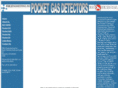 pocketgasdetectors.com