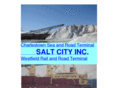 saltcityinc.com