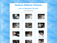 hudsonmathue.com
