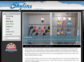 skyline-electric.com