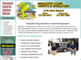 absolutelycleanrugs.com