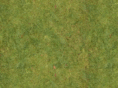ilfornodicollina.com