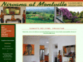 nirvanamontville.com