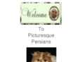 picturesquepersians.com