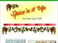 spice-n-it-up.com