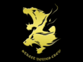 street-wolves-crew.com