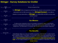 stringersurvey.com