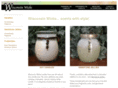 wisconsinwicks.com