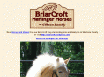 briarcroft.com