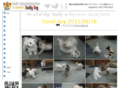 buddydog.info