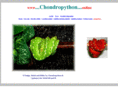 chondropython.com