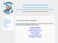 mcgerveyelectric.com