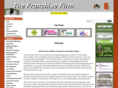 thefranchisefirm.com