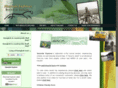 absoluteexplorer.com