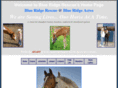 blueridgerescue.org