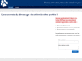 commentdressersonchien.net
