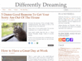 differentlydreaming.com