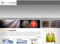 hsaleather.com
