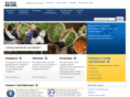 bsi-russia.com