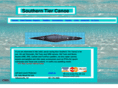southerntiercanoe.com