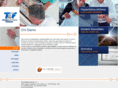 tefsrl.com