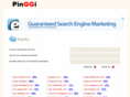 pinggi.net