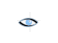 visioptical.com