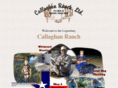 callaghanranchltd.net