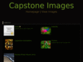 capstoneimages.com