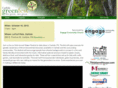 carlislegreenfest.com