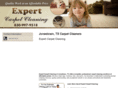 expertcarpetcleaningtx.com