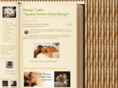 massagevaatika.com