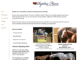 replicafarm.com