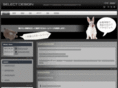 select-design.biz